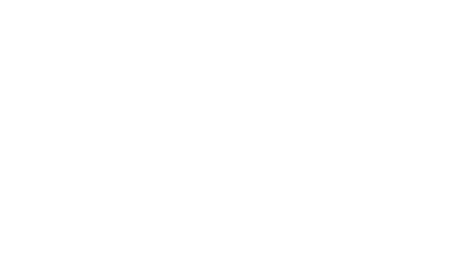 Logo firma Emil